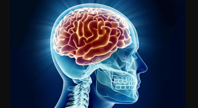 WhatsApp Image 2025-10-30 at 8.05.28 PM